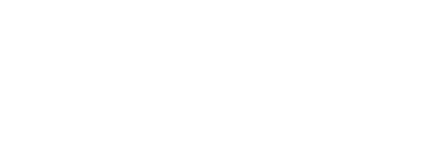 PHO NEM Logo